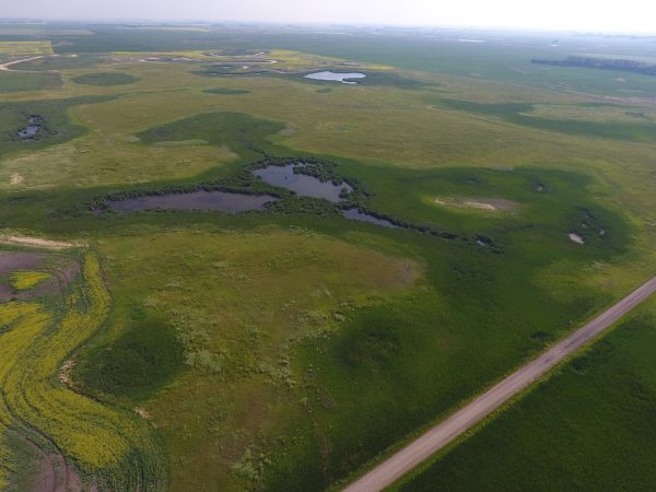 DCIM100MEDIADJI 0002.JPG