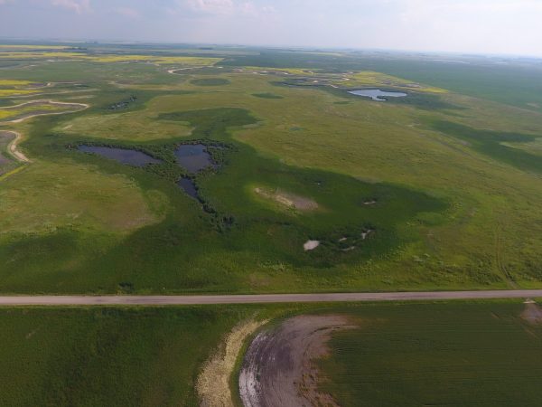 DCIM100MEDIADJI 0003.JPG