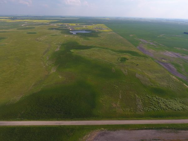 DCIM100MEDIADJI 0005.JPG