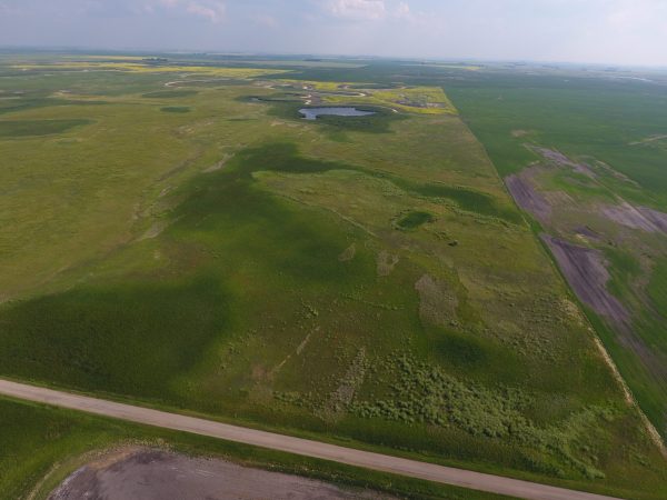 DCIM100MEDIADJI 0006.JPG