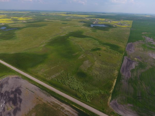 DCIM100MEDIADJI 0007.JPG