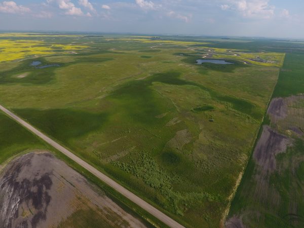 DCIM100MEDIADJI 0008.JPG