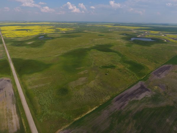 DCIM100MEDIADJI 0009.JPG