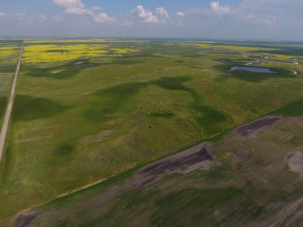 DCIM100MEDIADJI 0010.JPG