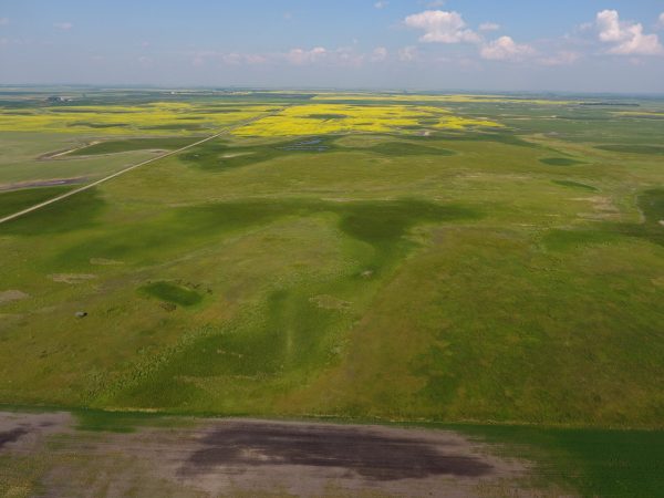 DCIM100MEDIADJI 0011.JPG