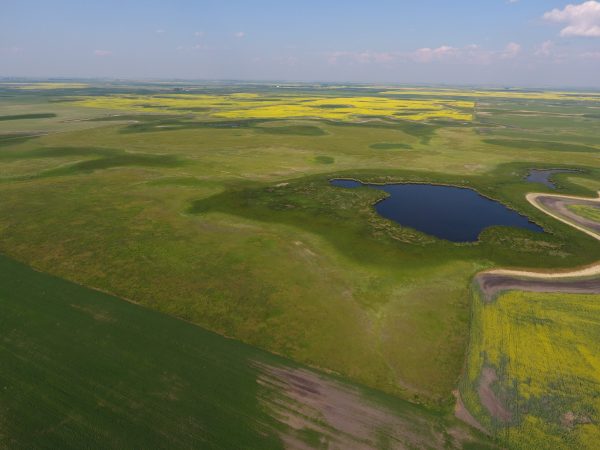 DCIM100MEDIADJI 0014.JPG