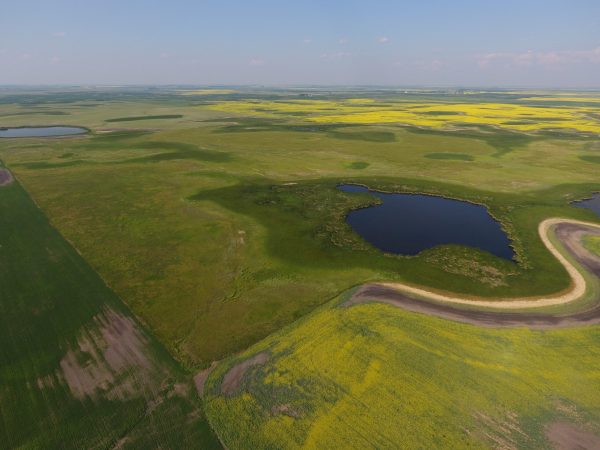 DCIM100MEDIADJI 0015.JPG