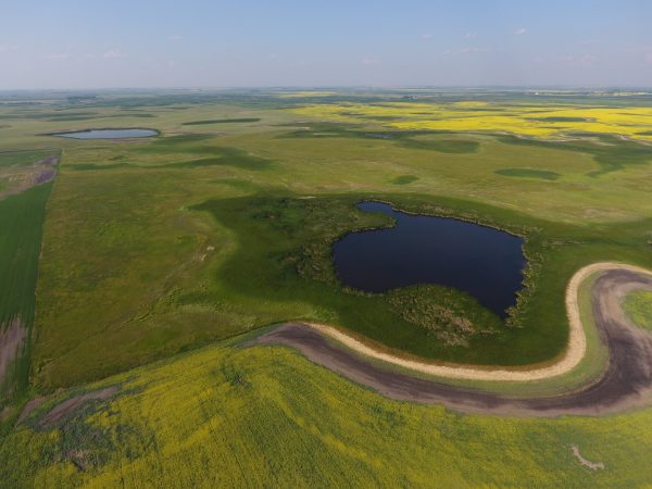 DCIM100MEDIADJI 0016.JPG