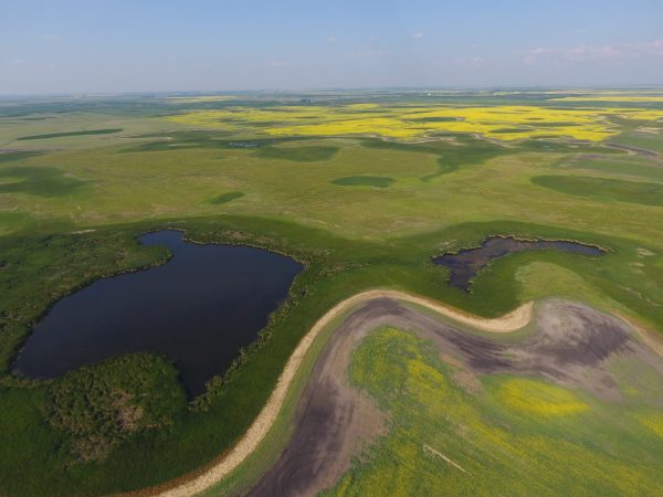 DCIM100MEDIADJI 0017.JPG