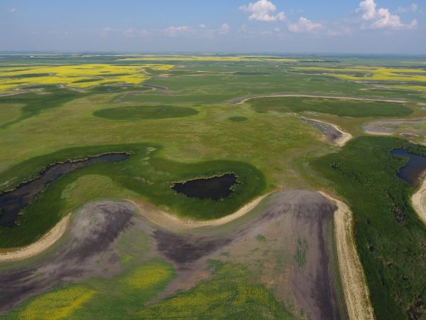 DCIM100MEDIADJI 0018.JPG