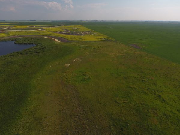 DCIM100MEDIADJI 0032.JPG