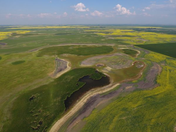 DCIM100MEDIADJI 0020.JPG