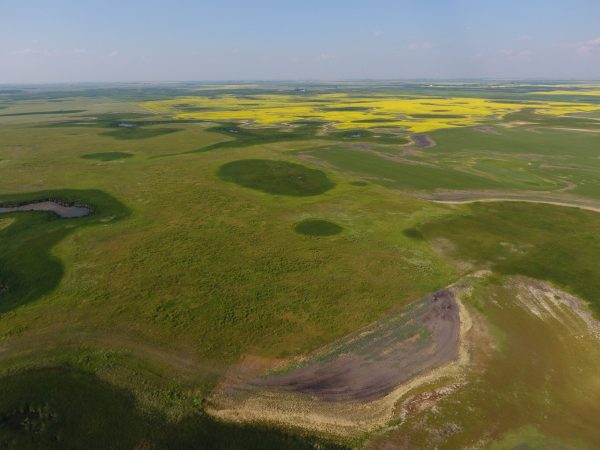 DCIM100MEDIADJI 0022.JPG