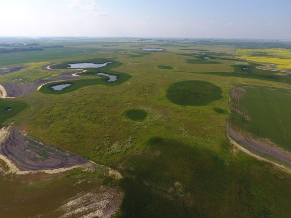 DCIM100MEDIADJI 0024.JPG