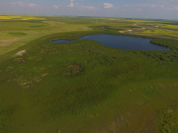 DCIM100MEDIADJI 0033.JPG