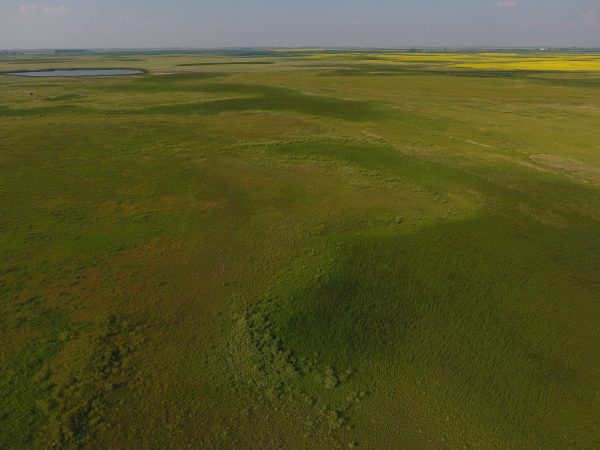 DCIM100MEDIADJI 0034.JPG