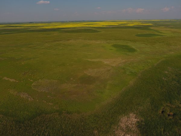 DCIM100MEDIADJI 0035.JPG