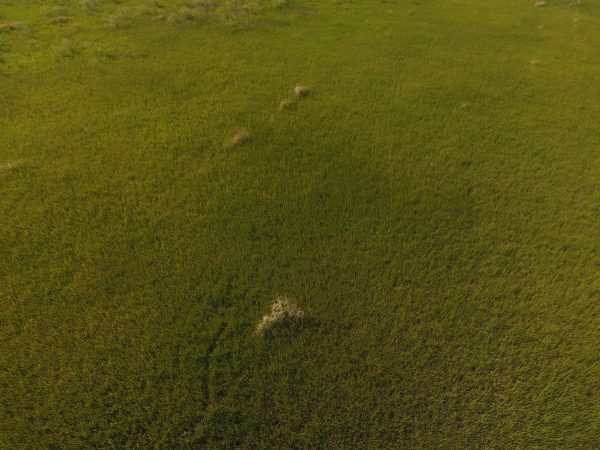 DCIM100MEDIADJI 0036.JPG