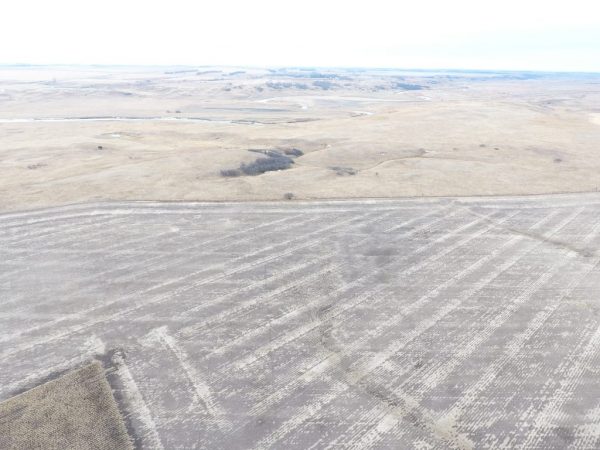 Sec 1 land 9 1024x768 1