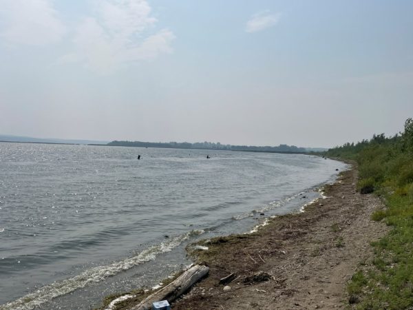 Shoreline