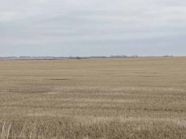 W2 6 150 67 10 1024x768 1