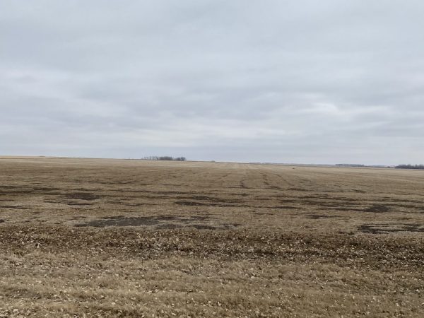 W2 6 150 67 19 1024x768 1