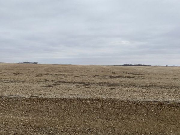 W2 6 150 67 25 1024x768 1