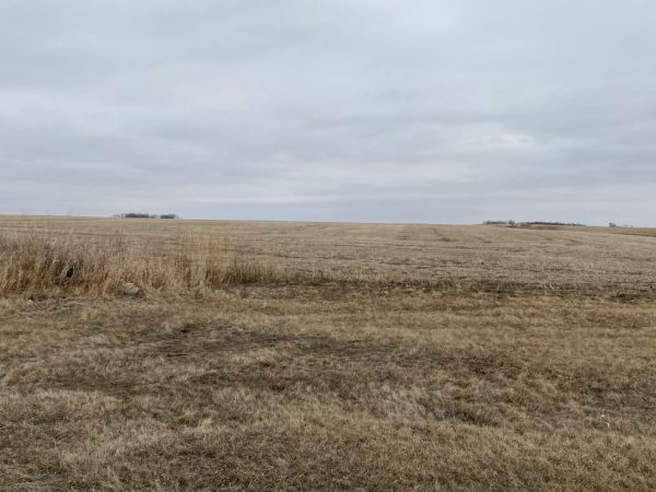 W2 6 150 67 26 1024x768 1