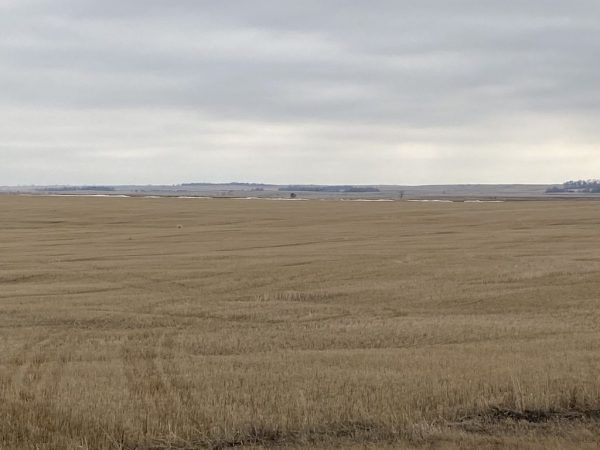 W2 6 150 67 4 1 1024x768 1