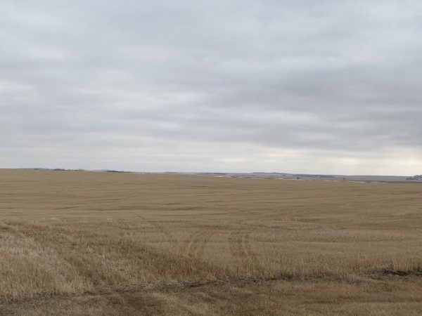 W2 6 150 67 5 1024x768 1