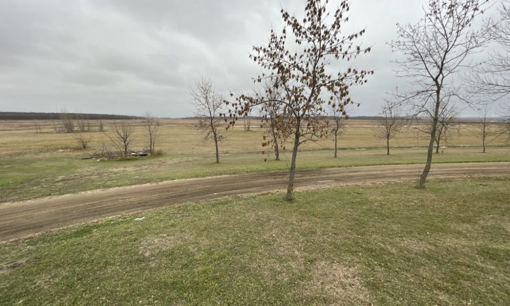 Yard2 1024x768 1