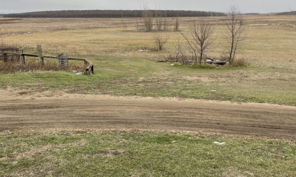 Yard4 768x1024 1