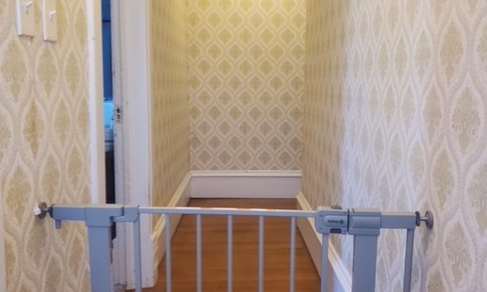 d3f332e1 dc4b 41e1 ba8f c628145a1080