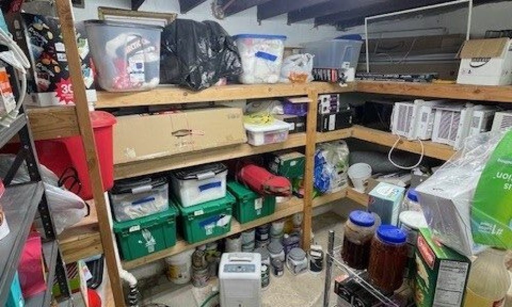 f7d2d42c 6661 4658 bcf5 66360983ef8d